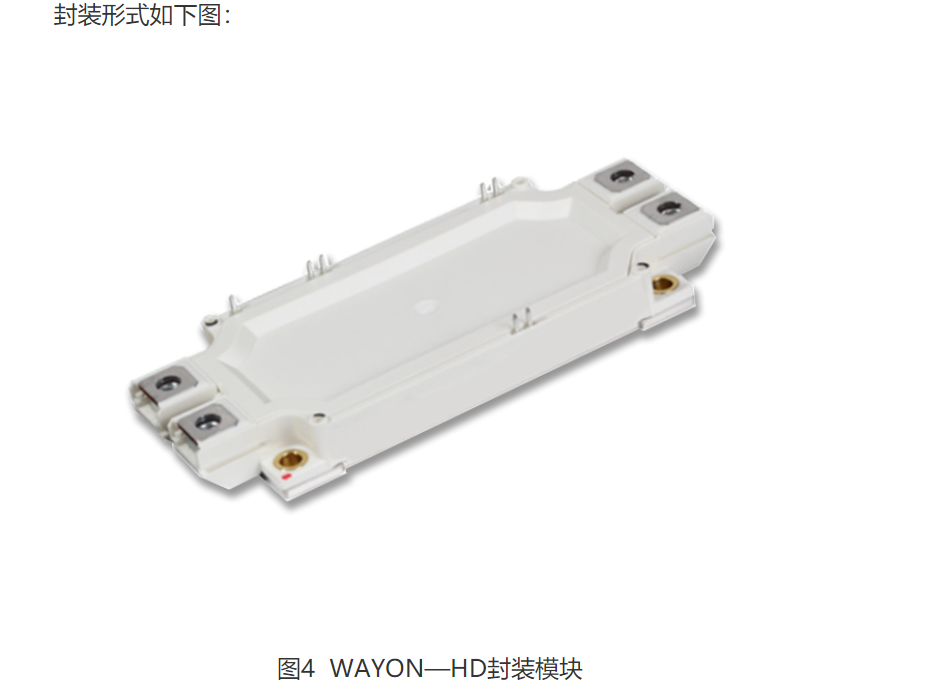Wayon  IGBT,維安IGBT,新能源汽車IGBT，維安代理商，Wayon代理商