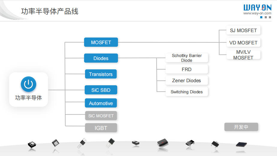 WAYON代理商，維安MOS管，維安SBD，肖特基二三極管，維安LDO線性穩(wěn)壓，PTC，保險(xiǎn)絲，ESD ，IGBT ，OVP， TVS代理商.png